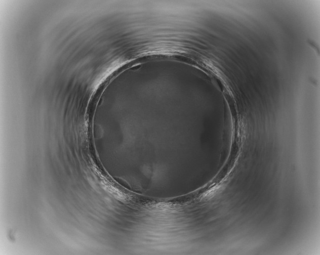 X0000102490779200808151455