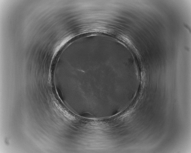 X0000102490780200808151455