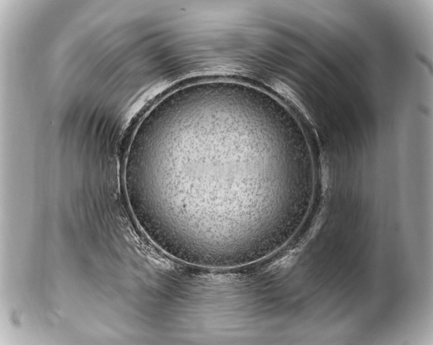 X0000102490781200808151455