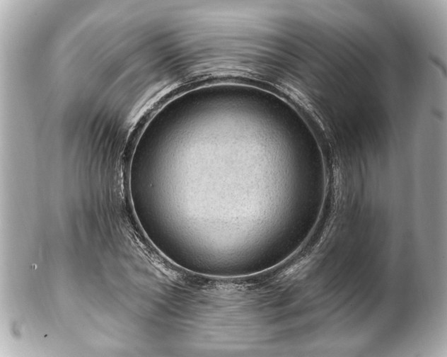 X0000102490782200808151455