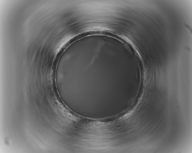 X0000102490783200808151455