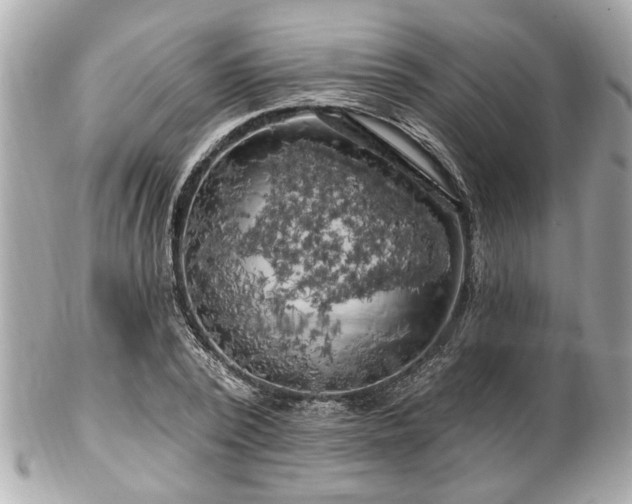 X0000102490784200808151455