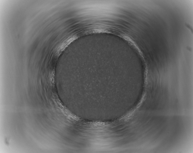 X0000102490785200808151455