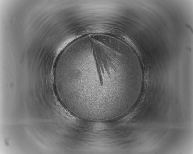X0000102490787200808151455
