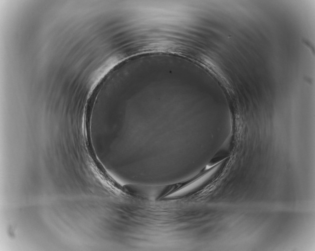 X0000102490788200808151455