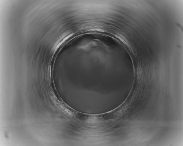 X0000102490790200808151455