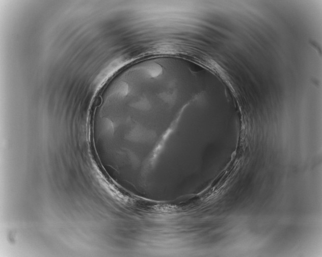 X0000102490795200808151455