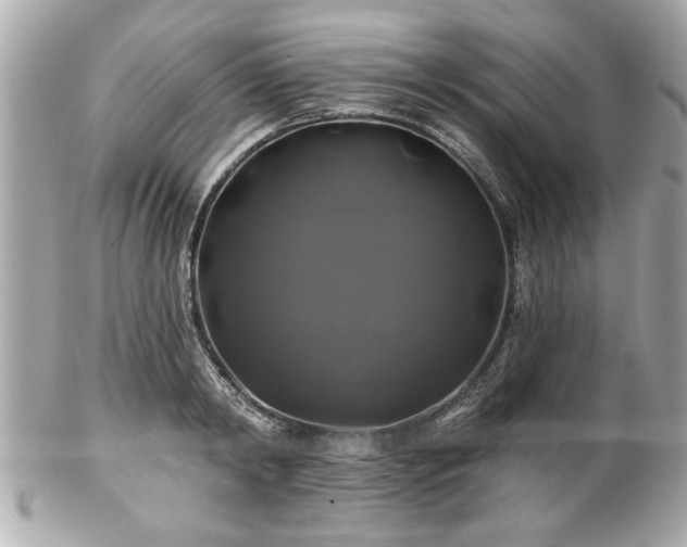 X0000102490798200808151455