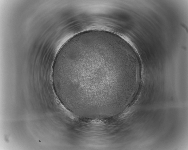 X0000102490799200808151455