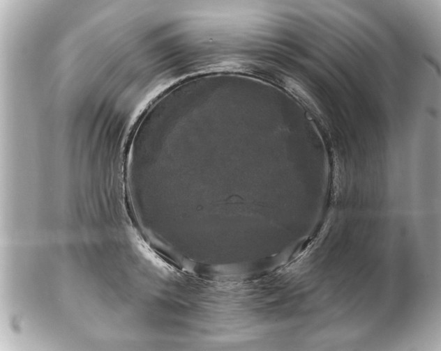 X0000102490800200808151455