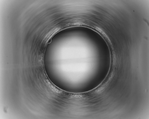 X0000102490801200808151455