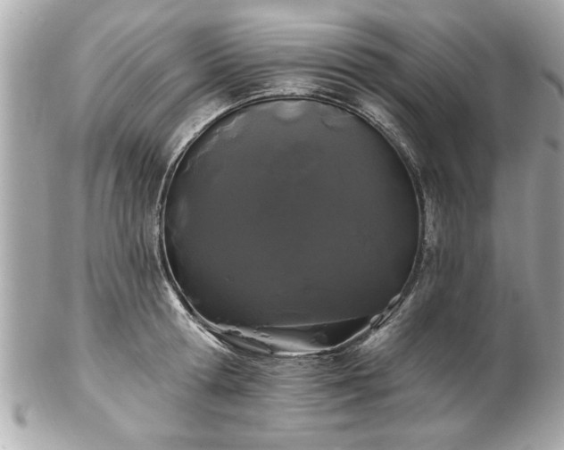 X0000102490802200808151455