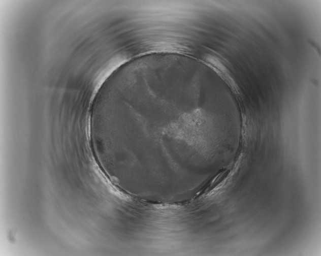 X0000102490804200808151455