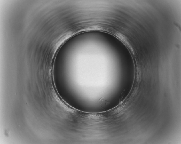 X0000102490805200808151455