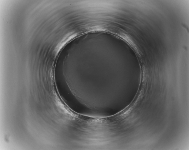 X0000102490806200808151455