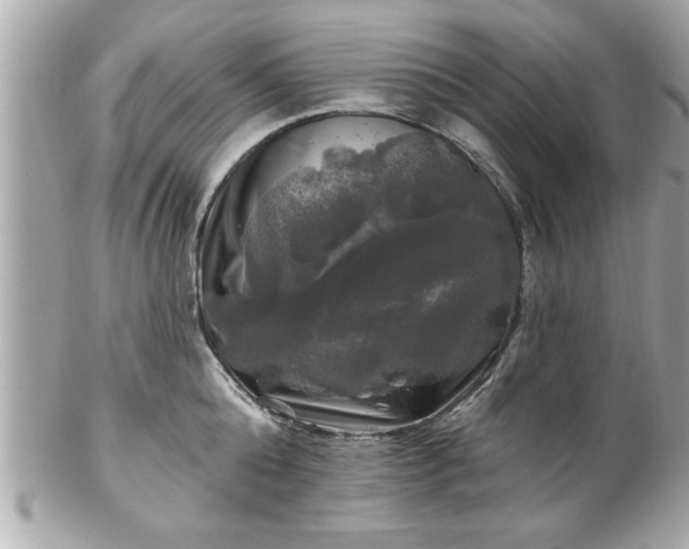 X0000102490808200808151455