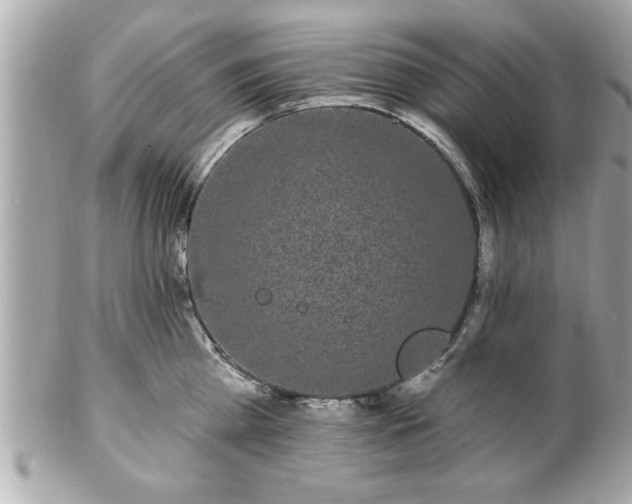 X0000102490809200808151455