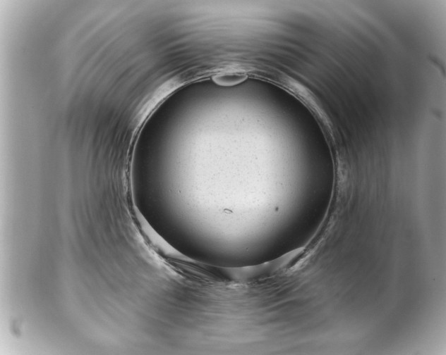 X0000102490810200808151455