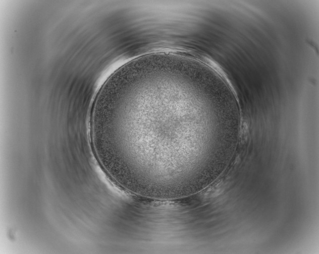 X0000102490811200808151455