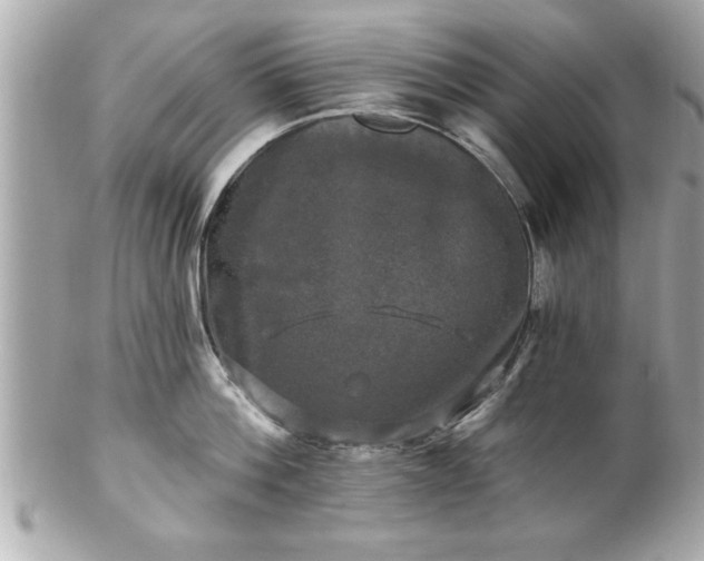 X0000102490812200808151455