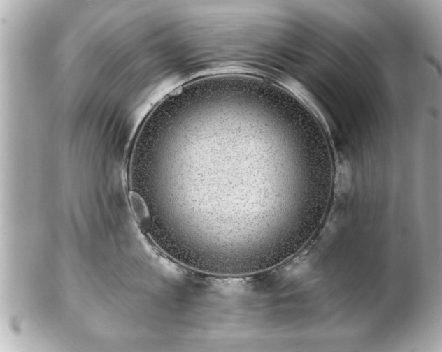 X0000102490813200808151455