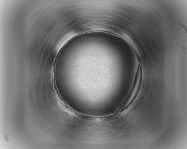 X0000102490814200808151454