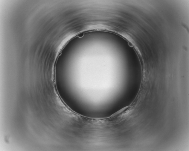 X0000102490815200808151454