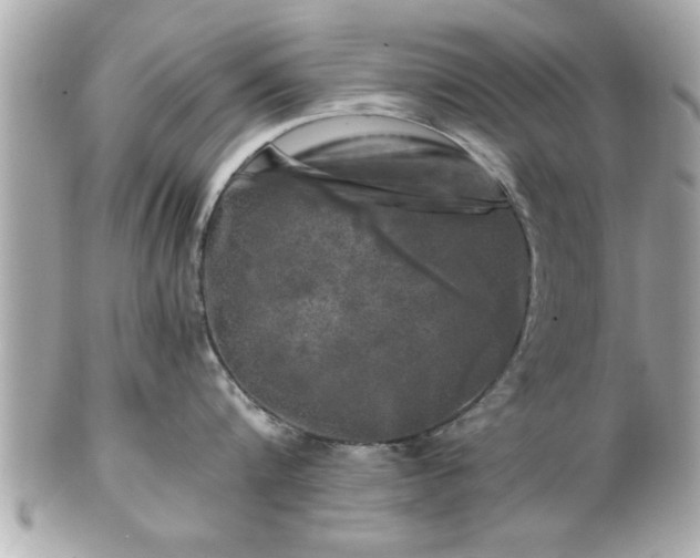 X0000102490816200808151454