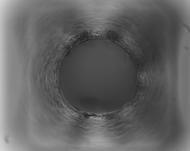 X0000102490817200808151454