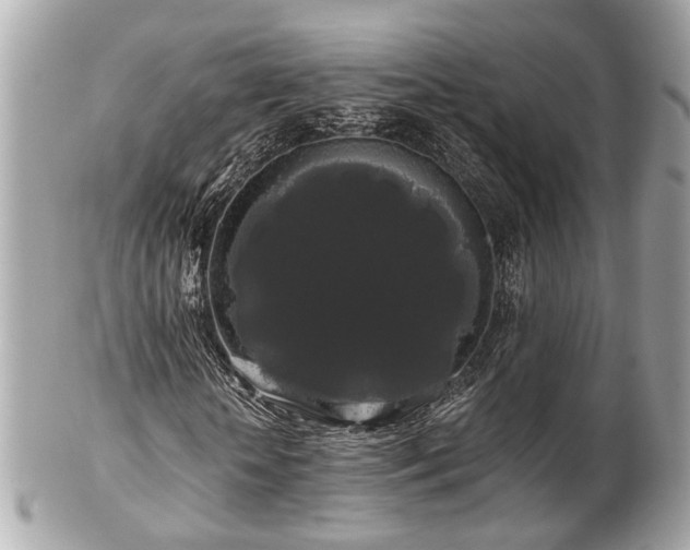 X0000102490818200808151454