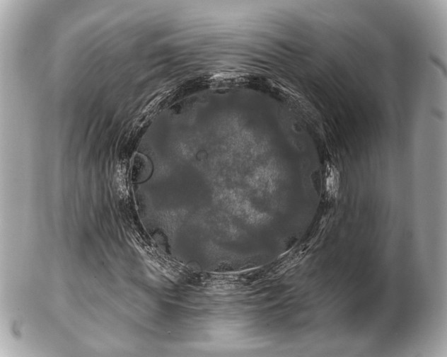 X0000102490819200808151454