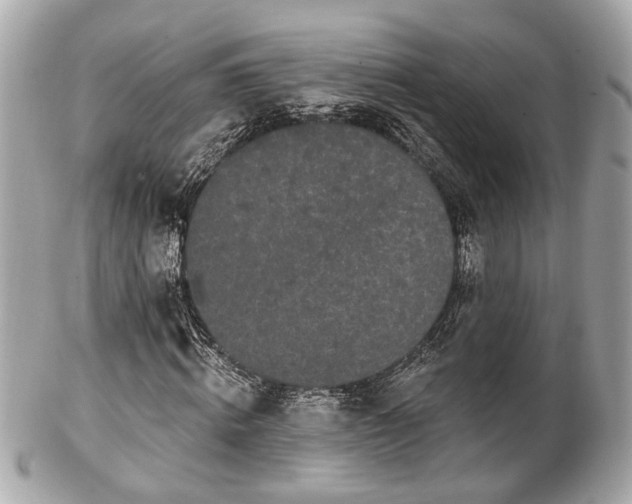 X0000102490820200808151454