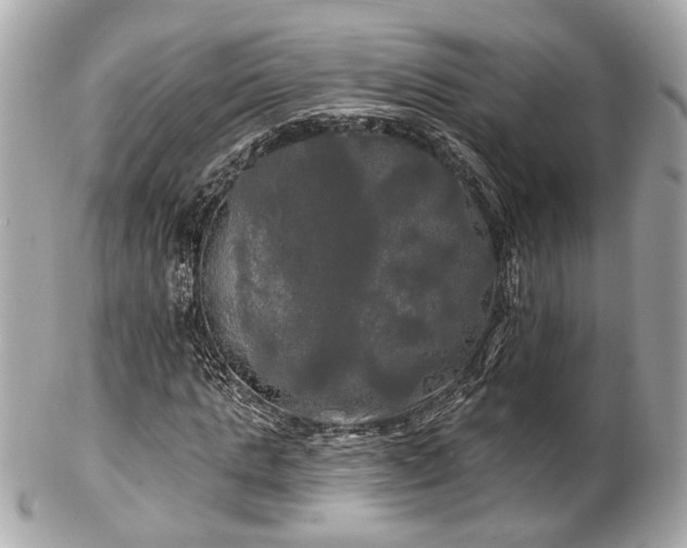 X0000102490821200808151454