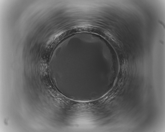 X0000102490822200808151454