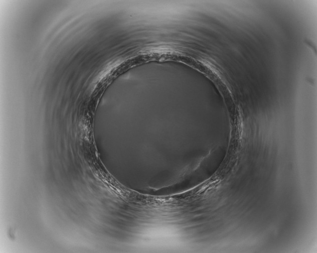 X0000102490823200808151454