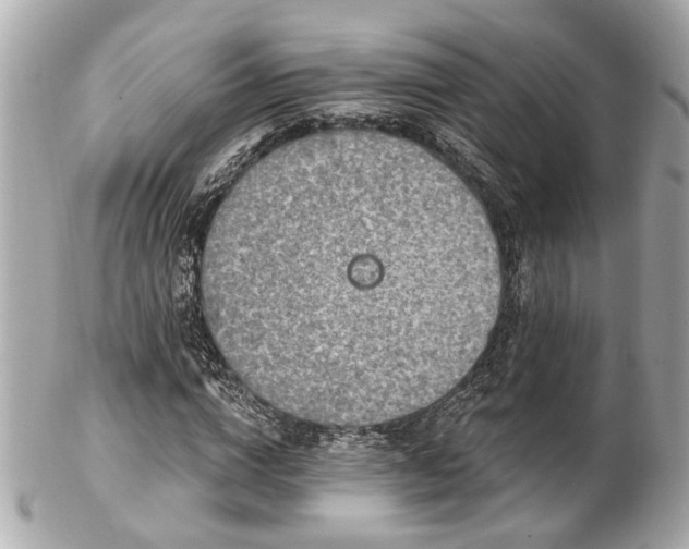 X0000102490824200808151454