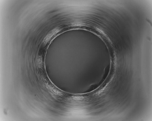 X0000102490825200808151454