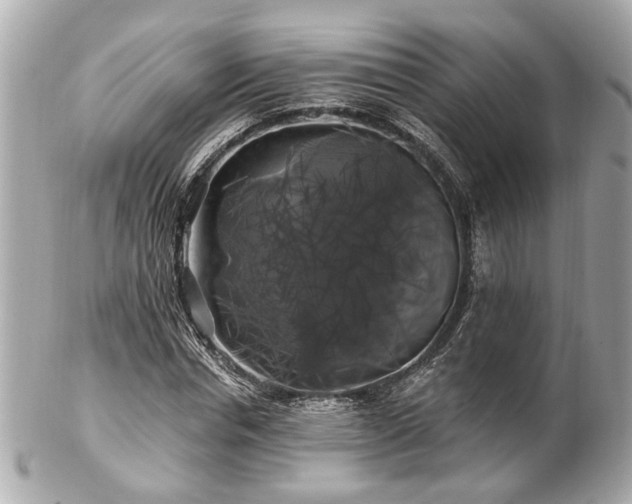 X0000102490826200808151454