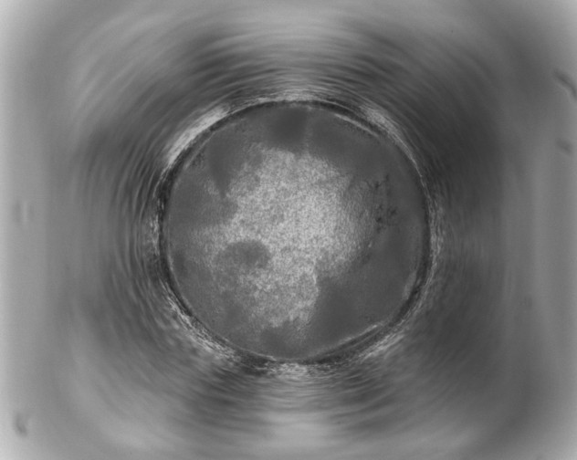 X0000102490827200808151454