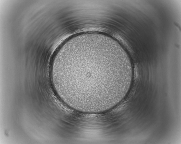 X0000102490828200808151454