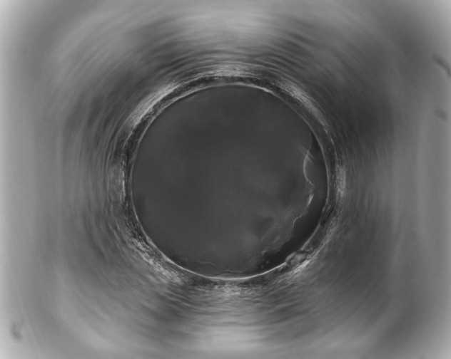 X0000102490829200808151454