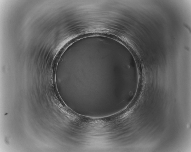 X0000102490830200808151454