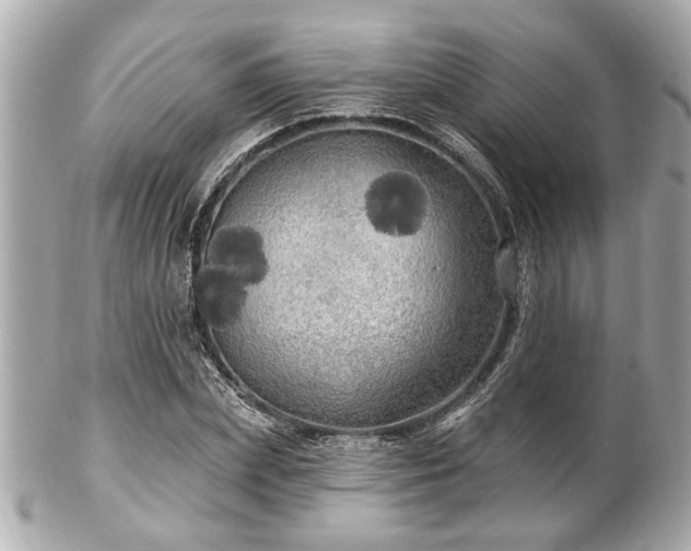 X0000102490831200808151454