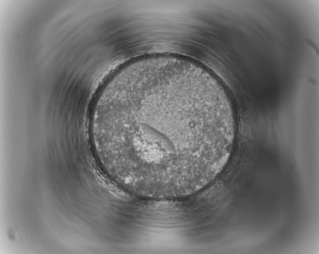 X0000102490832200808151454