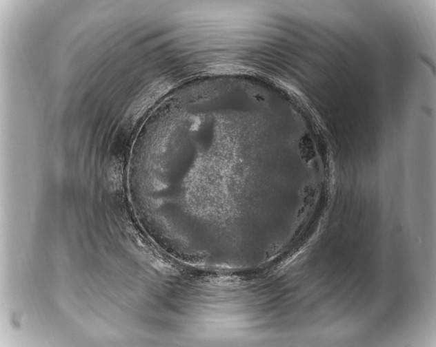 X0000102490833200808151454