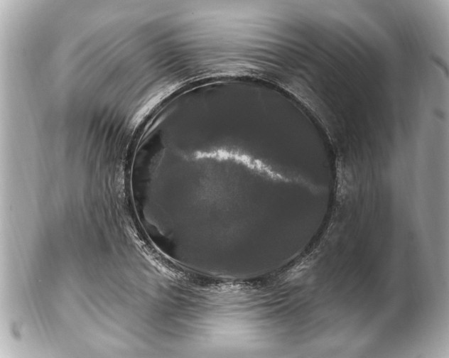 X0000102490834200808151454