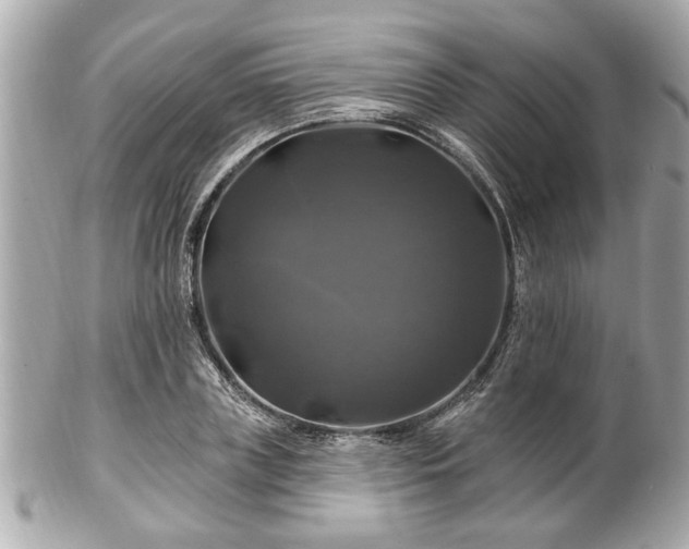 X0000102490835200808151454