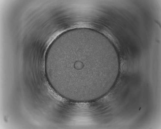 X0000102490836200808151454