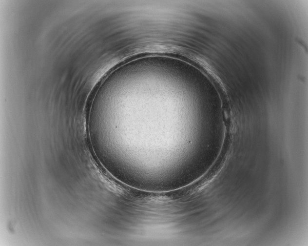 X0000102490837200808151454