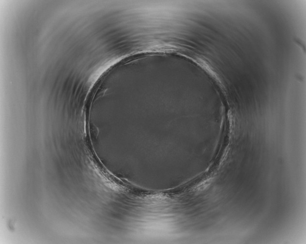 X0000102490838200808151454